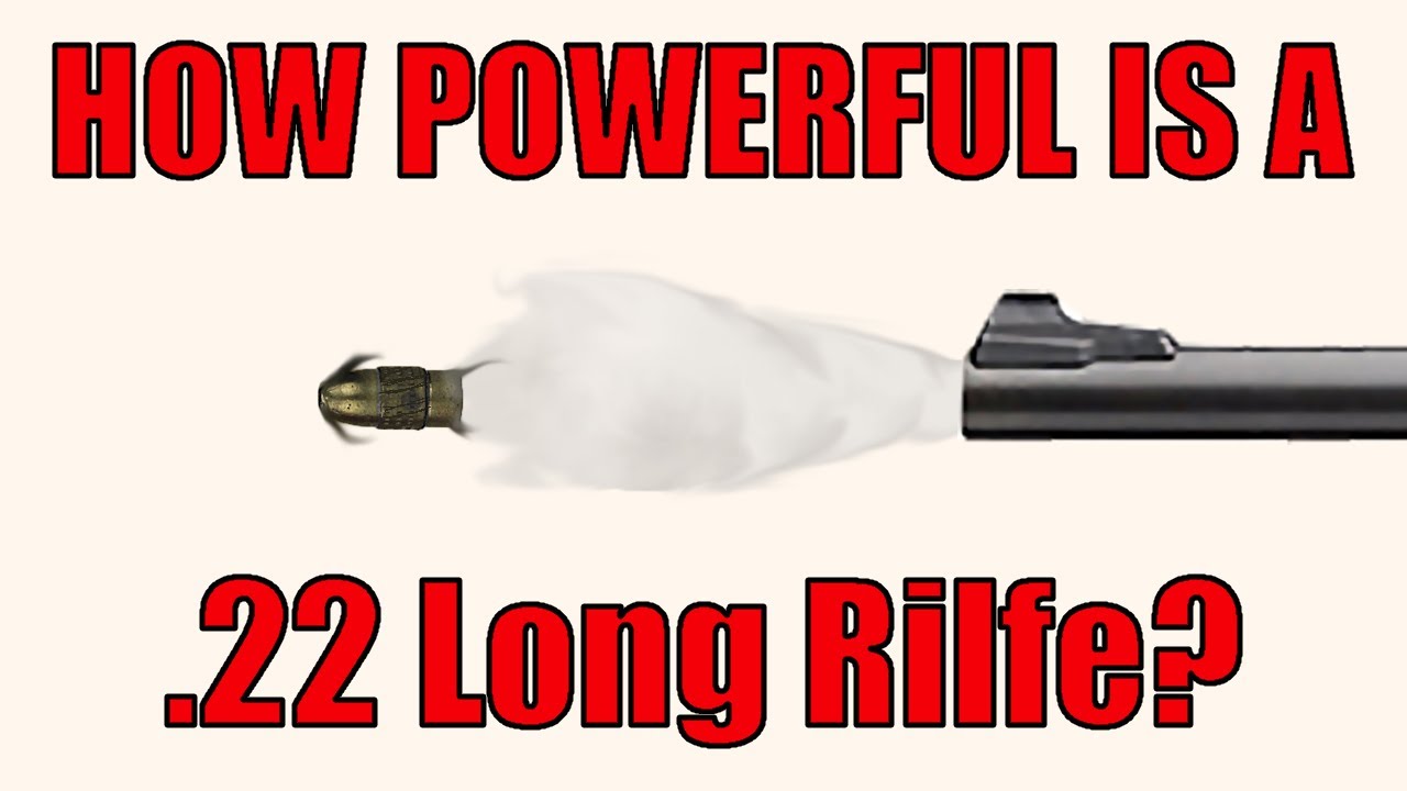 How powerful is the .22lr?
