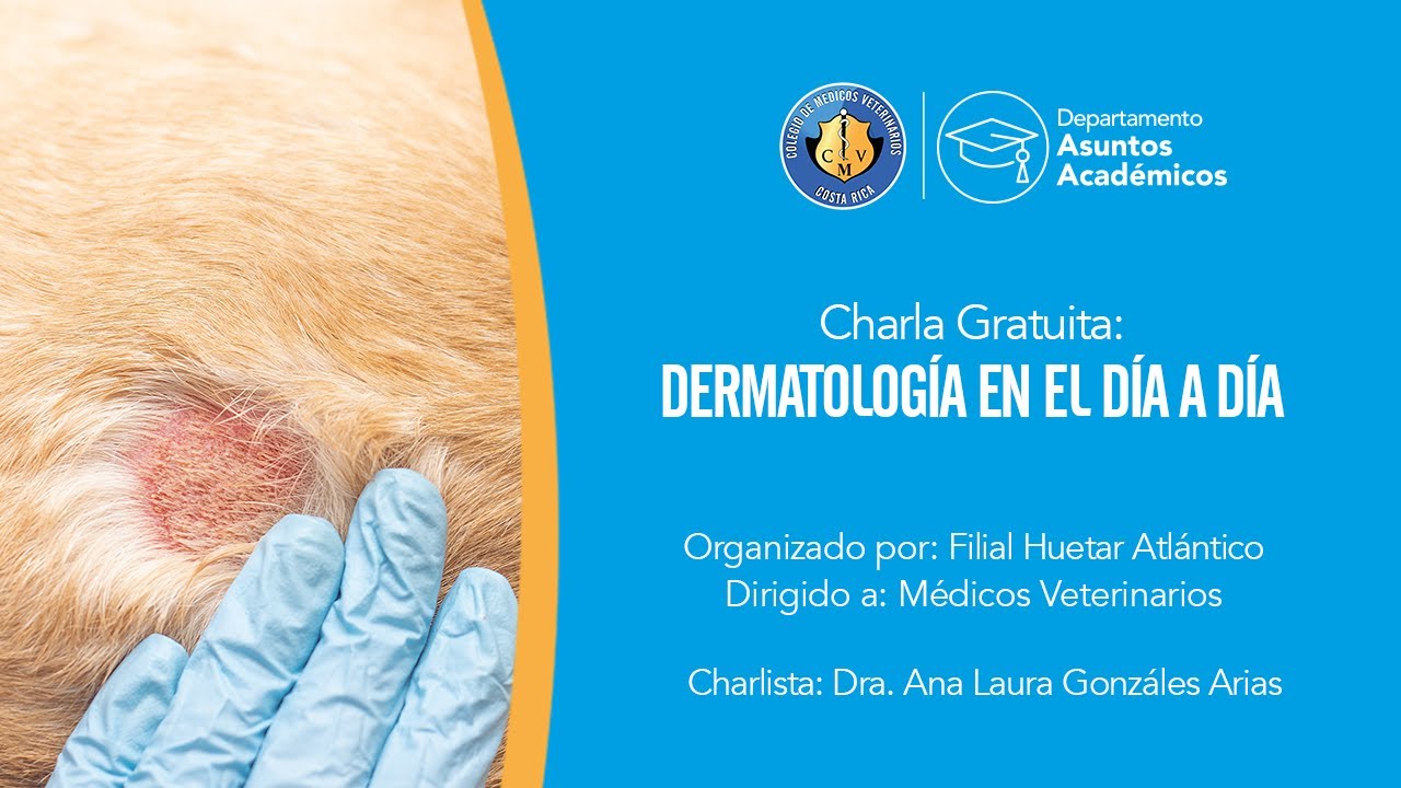 Charla: Dermatología en el día a día