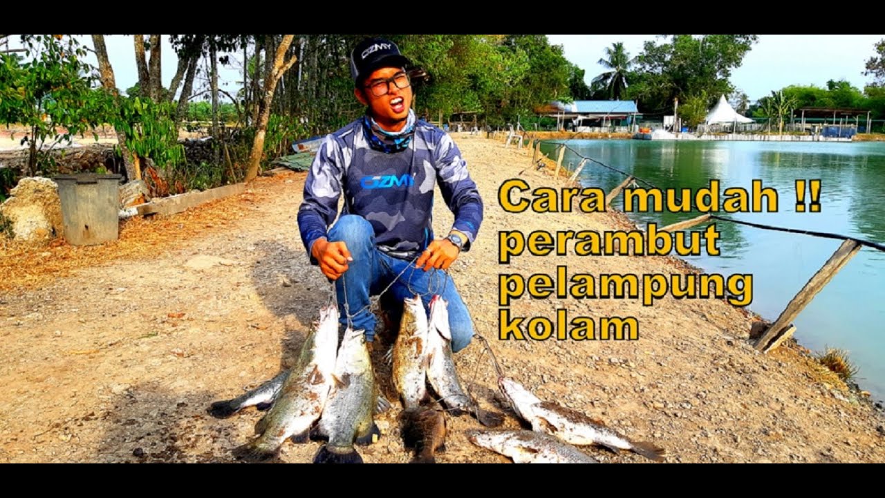 Tips memancing siakap kolam air masin (mungkin persoalan korang terjawab)