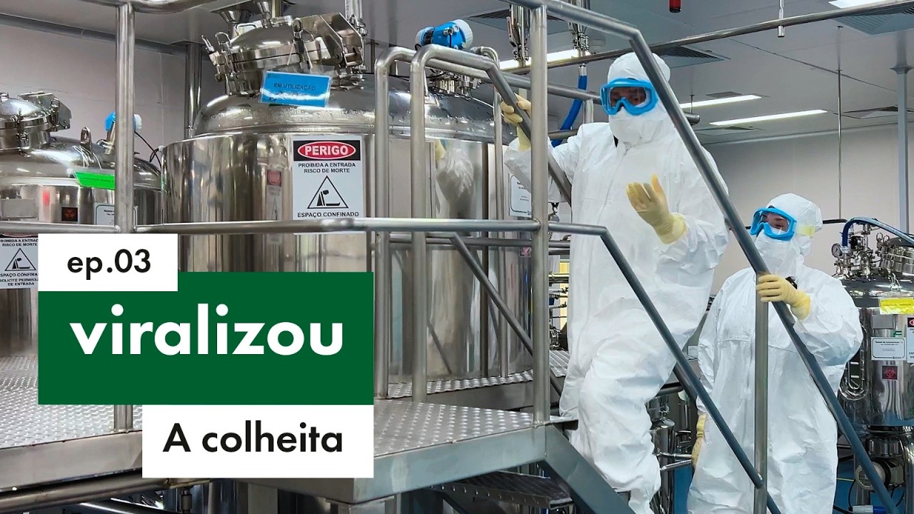 Mais uma fase na produção da vacina da gripe: a colheita | VIRALIZOU episódio 3