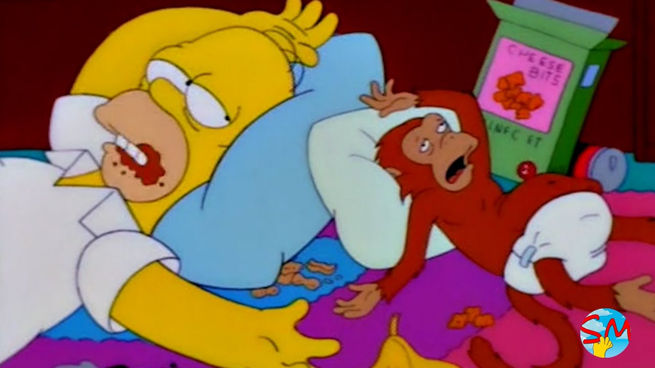 Los Simpsons - Mejores Momentos - Temporada 9