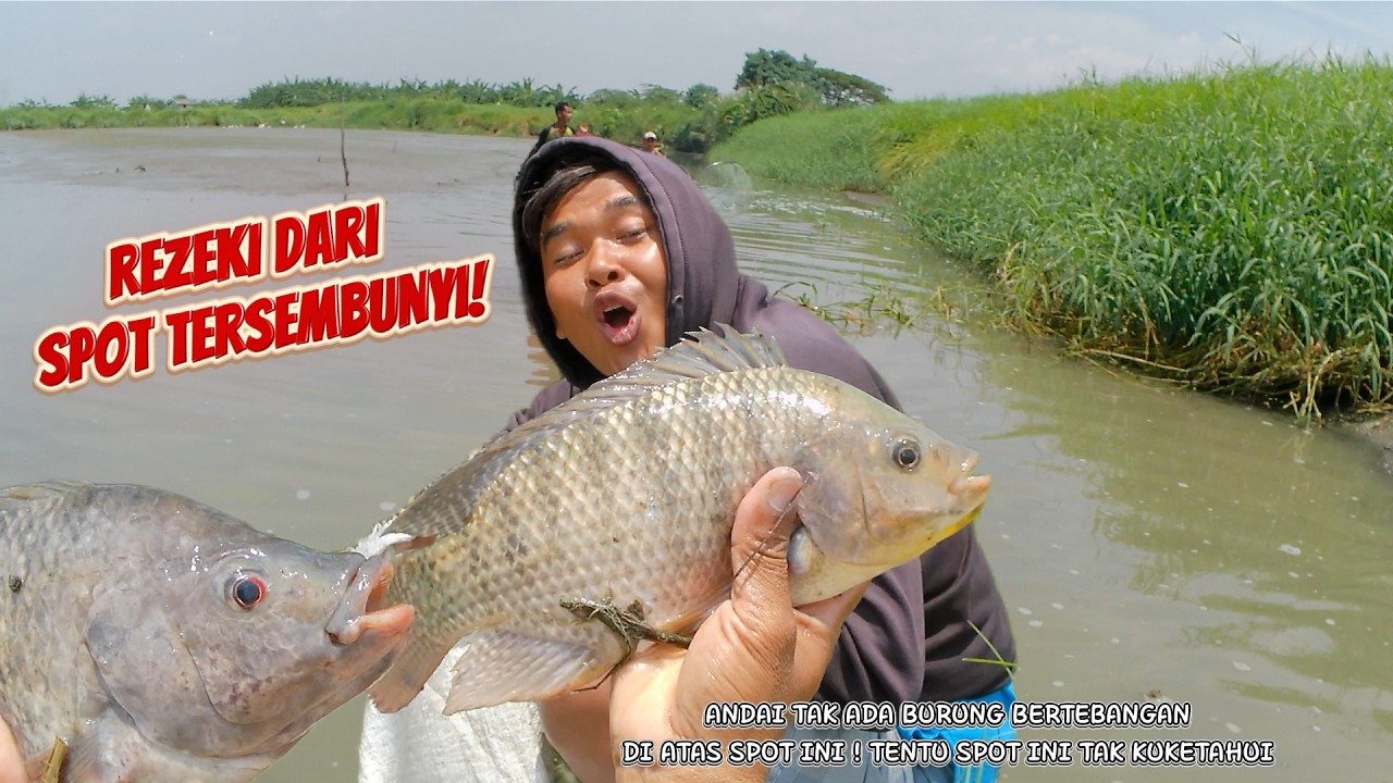 Keajaiban Nyata! Saat Semua Menyerah, Melalui petunjuk Burung Menunjukkan Spot Titik Panen Ikan!