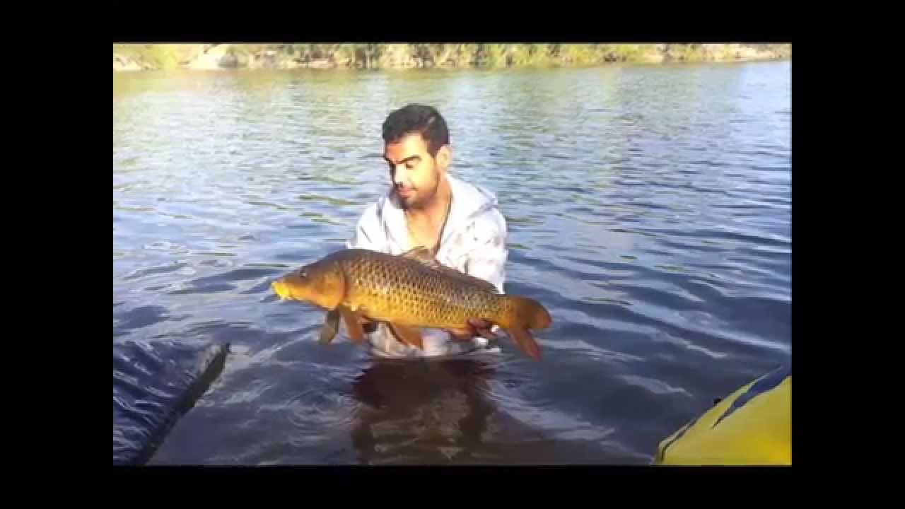 CARPFISHING (Murcia). sesion 48 horas.