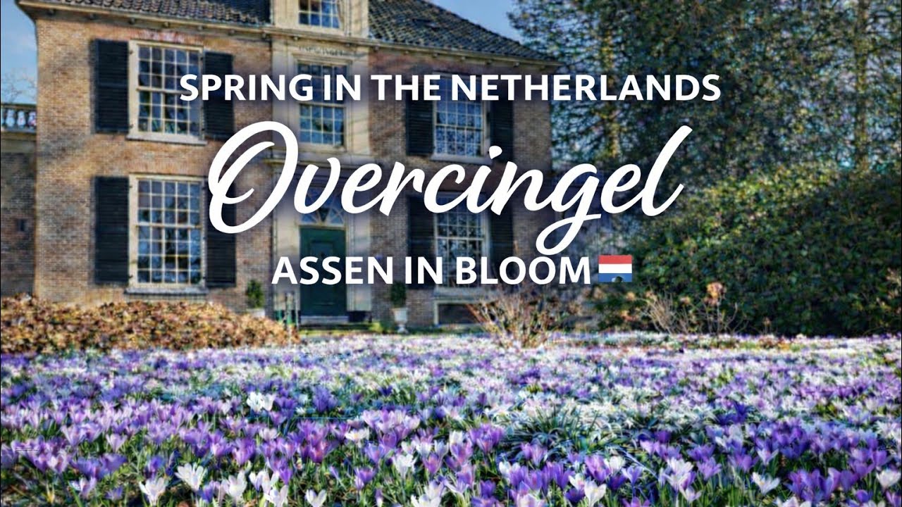 A Surprisingly Beautiful Place in Assen 🌸 | Netherlands Walking Tour