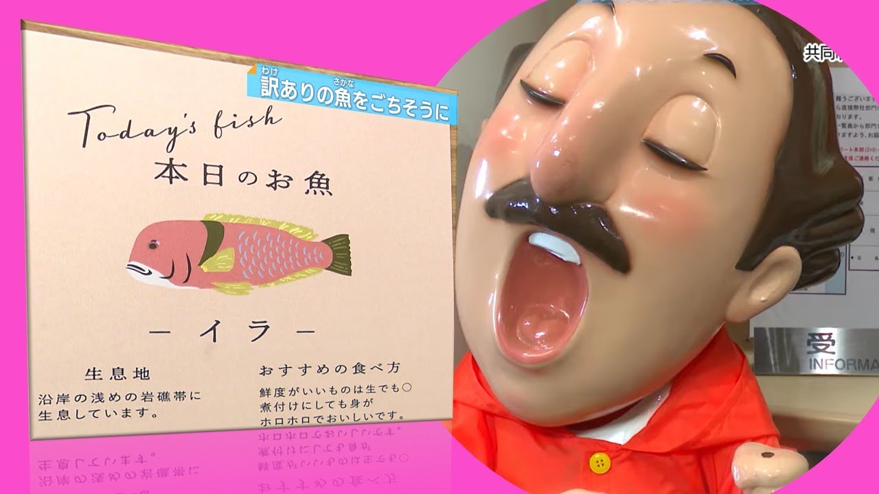 【福岡県民】こそっと&hellip;食べる「美味な魚！」。イラ、イラって&hellip;どんな魚？