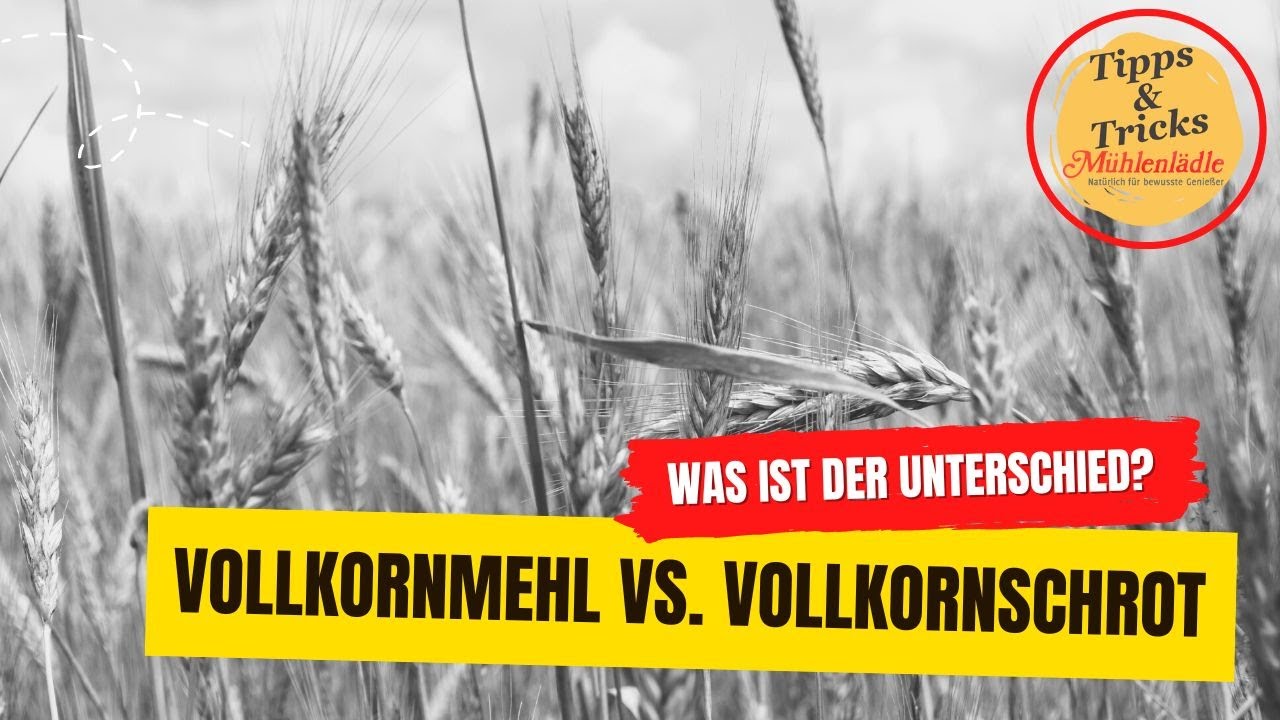 Vollkornmehl vs. Vollkornschrot: Was ist der Unterschied?