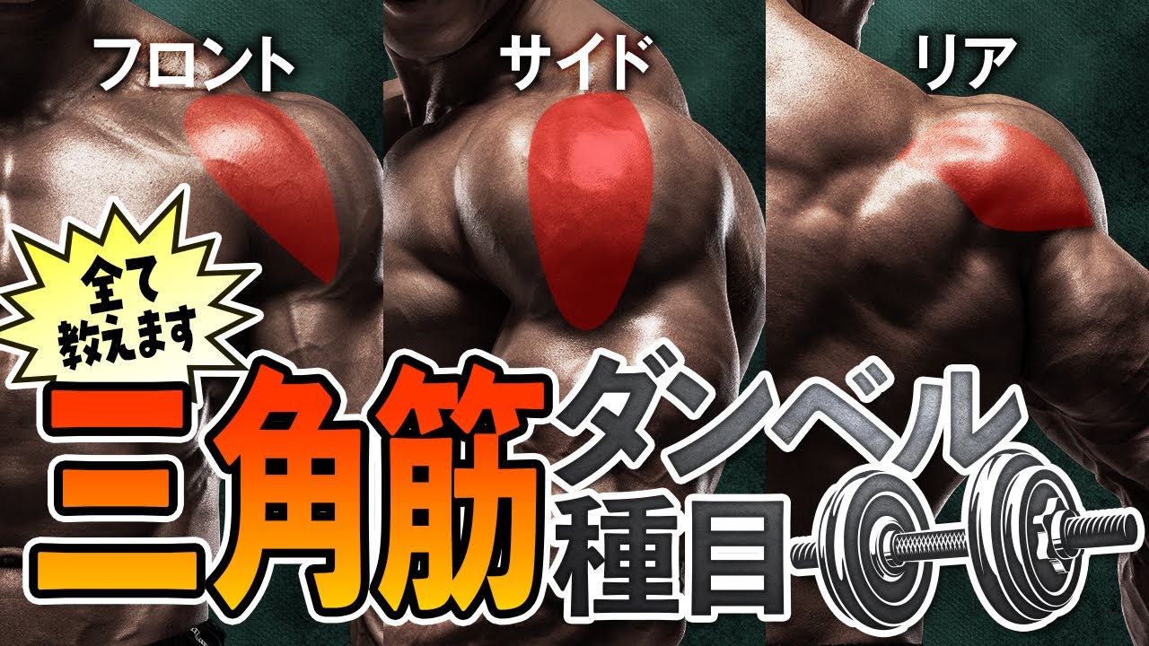 【肩トレ】ダンベルでハリのある肩を作る！最も効果的な筋トレメニュー5選|サイド・フロント・リア
