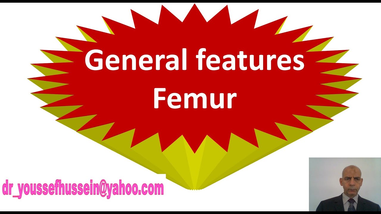 2. Femur | Angle of inclination | Angle of femoral torsion | Spiral line | Patella