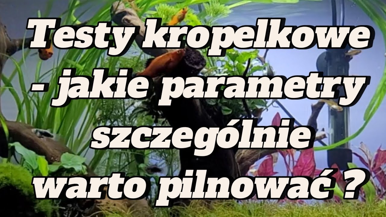 Testy kropelkowe - jakie parametry warto zbadać