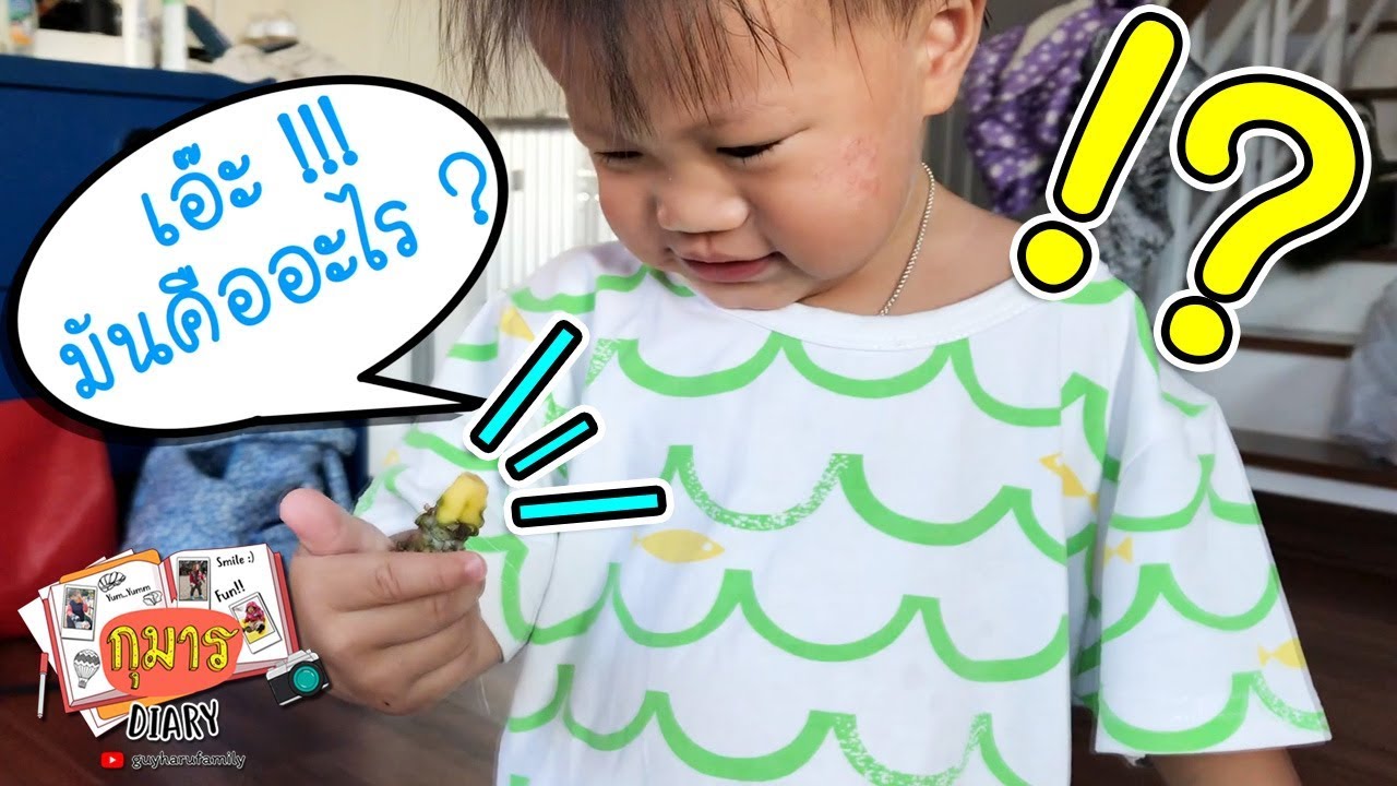 กุมาร DIARY EP13 | มากินบอระเพ็ดกันจ้า