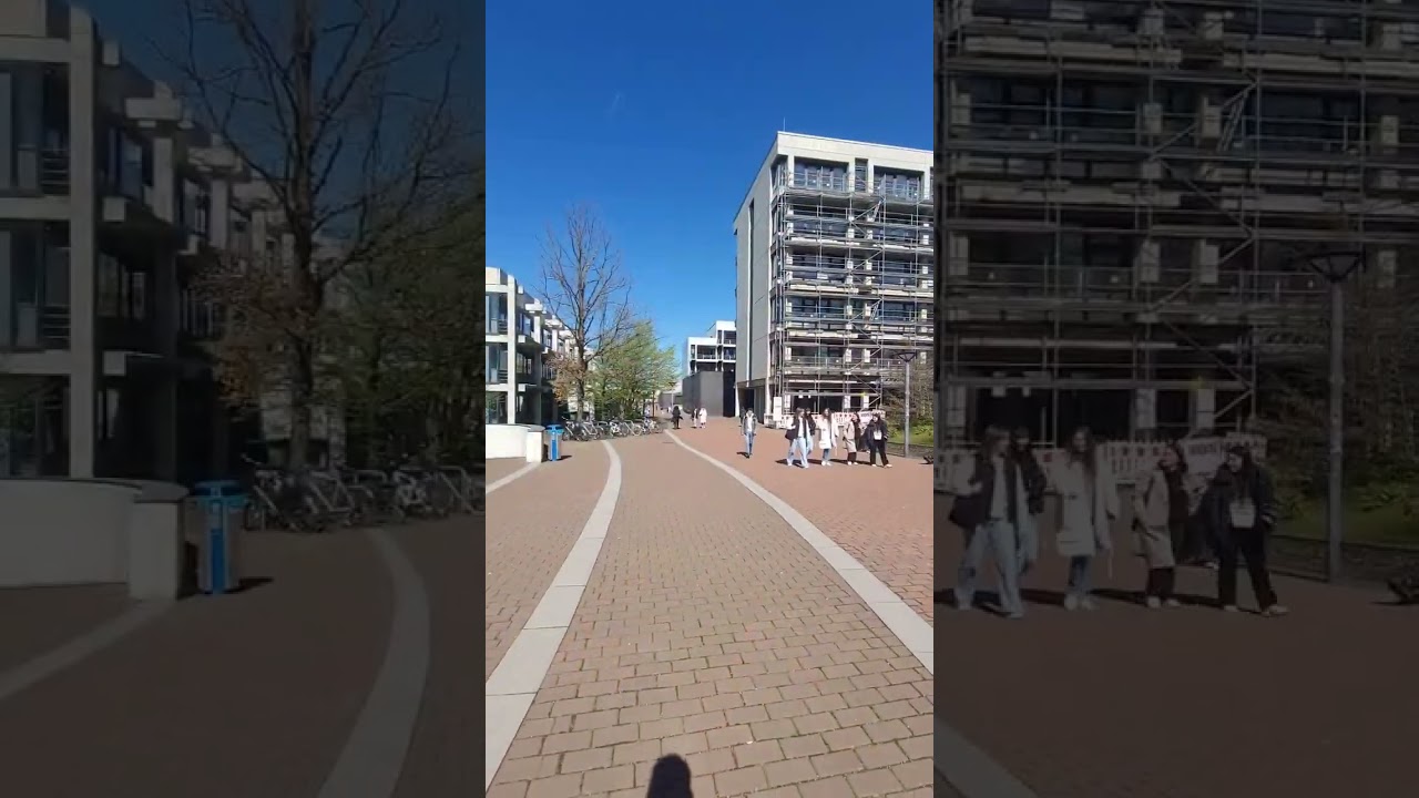 Sunny #semesterstart at #HHU