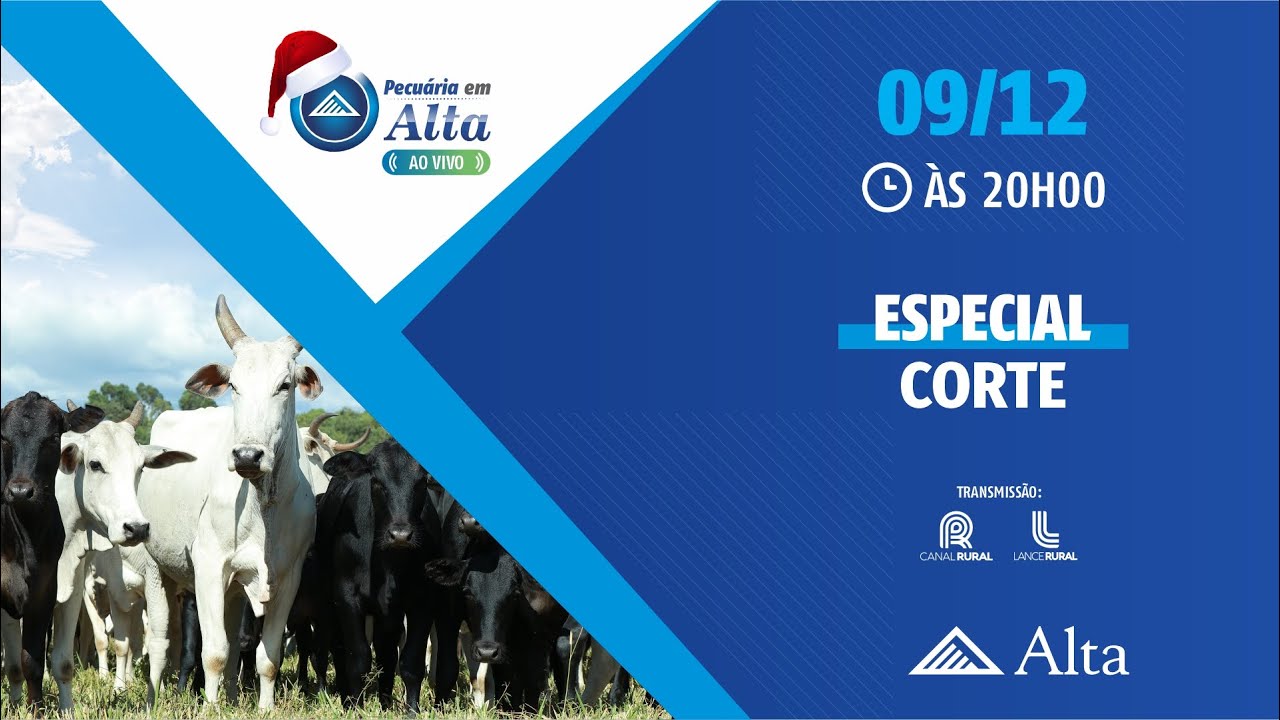 Pecuária em Alta especial Corte
