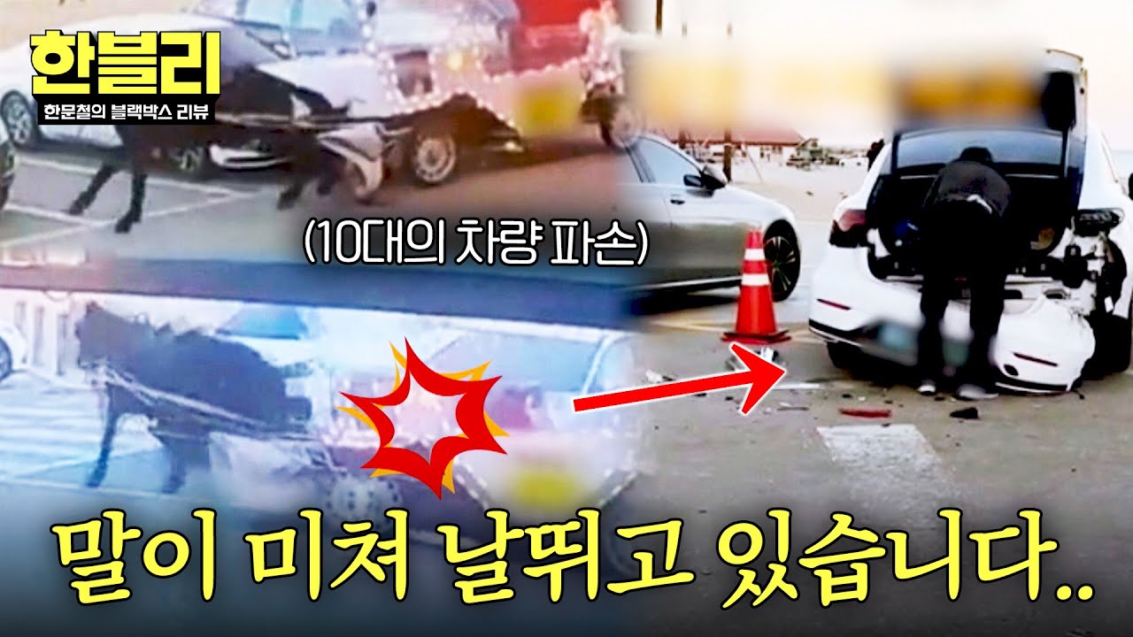 [한블리] (황당) 마차 달고 폭주한 말?! 🐎 벤ㅊ 차량 포함 10대 연쇄 파손💥 | 한블리 (한문철의 블랙박스 리뷰) 160회 | JTBC 260204 방송