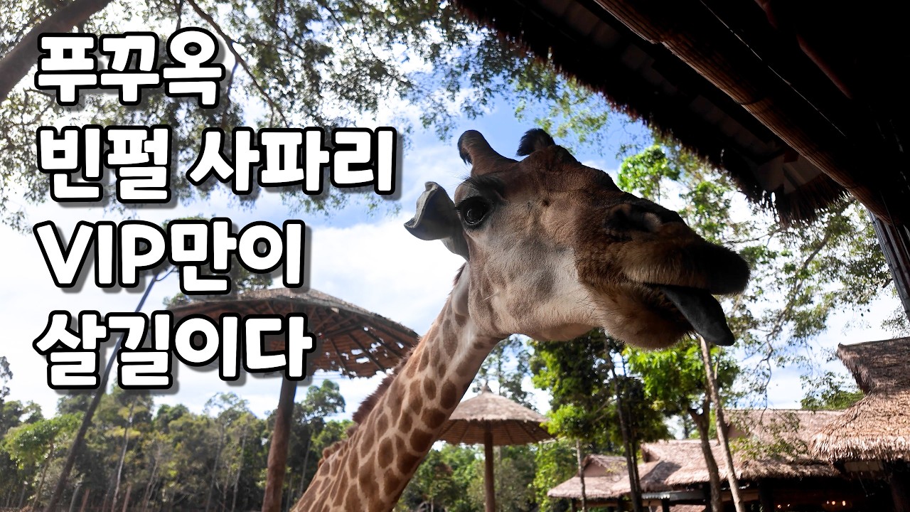 베트남 푸꾸옥 빈펄 사파리 VIP 투어 추천 세계 2번째로 큰 사파리 푸꾸옥 가볼 만한 곳