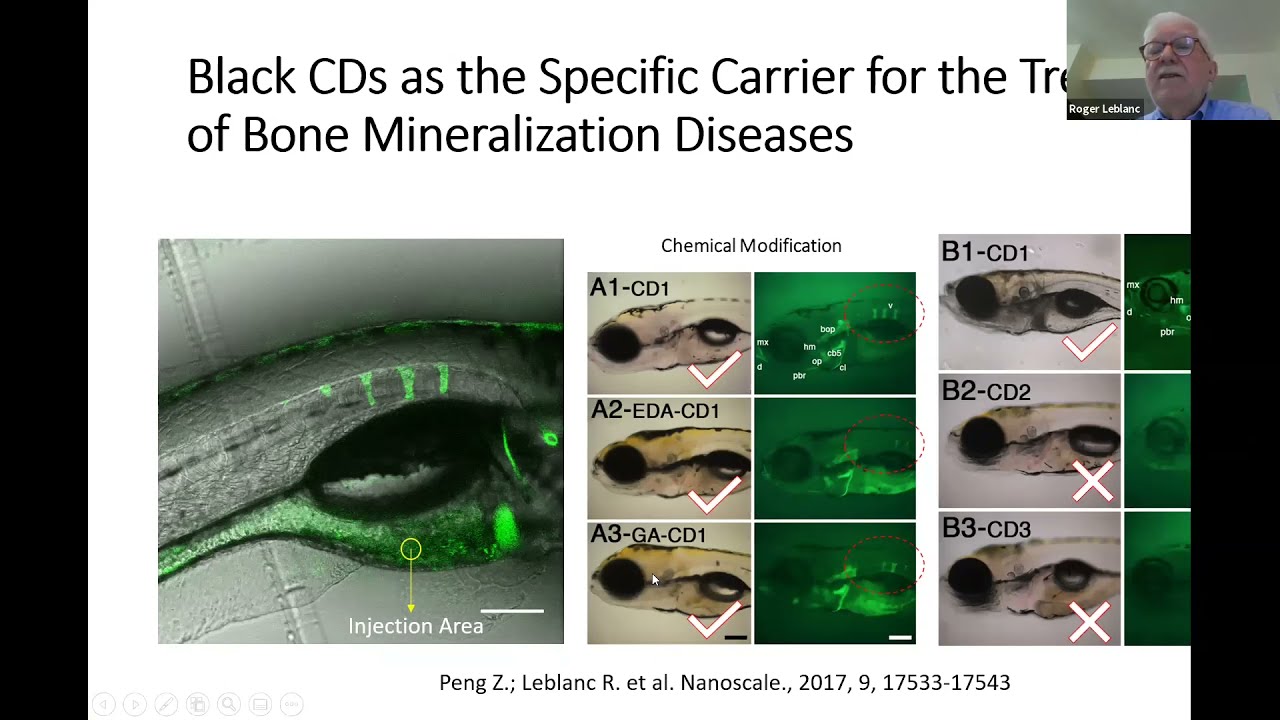 Carbon Dots as Novel Cargo for Drug Delivery in Modern Medical Healthcare