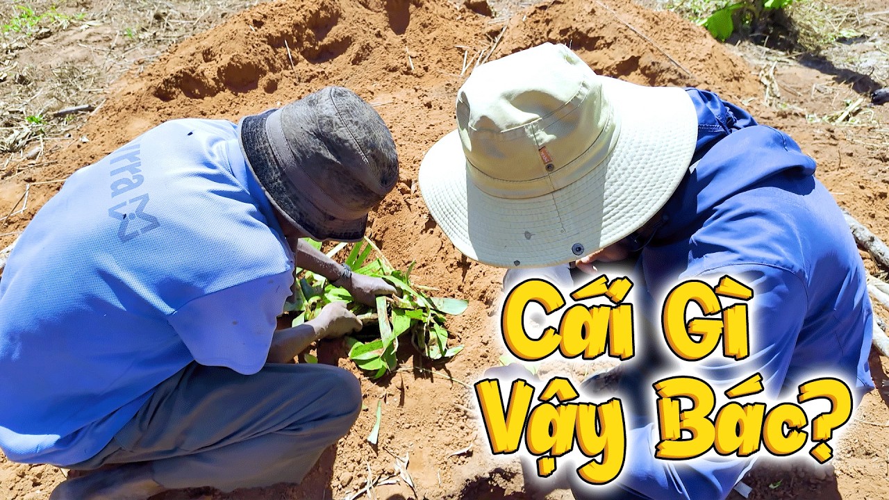 Lần Đầu Thấy Cách GIẤM CHÍN NÔNG SẢN Của Người Dân, Vợ Em Matel Tìm Được Nguồn Hàng Mới