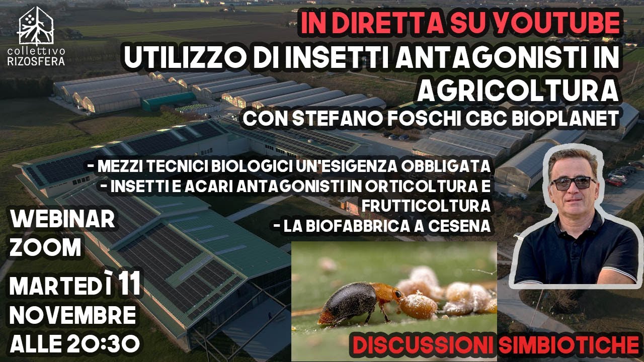 Utlizzo di INSETTI ANTAGONISTI in AGRICOLTURA - Discussioni Simbiotiche
