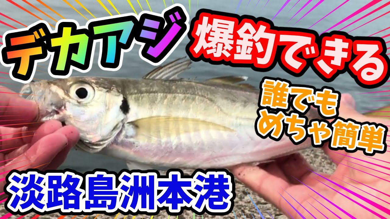 【淡路島 洲本港】【デカアジ爆釣】初心者も簡単に釣れるあの仕掛けにちょっとひと手間
