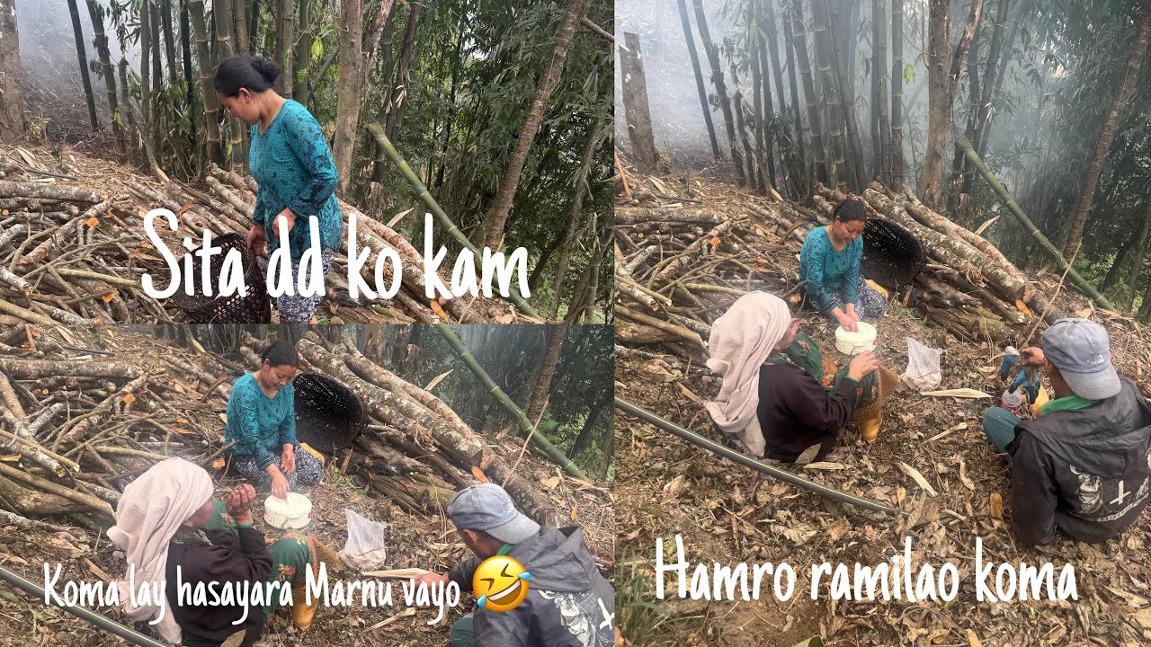 Comedy Koma la hasayara Naii marnu vayo🤣 || 
