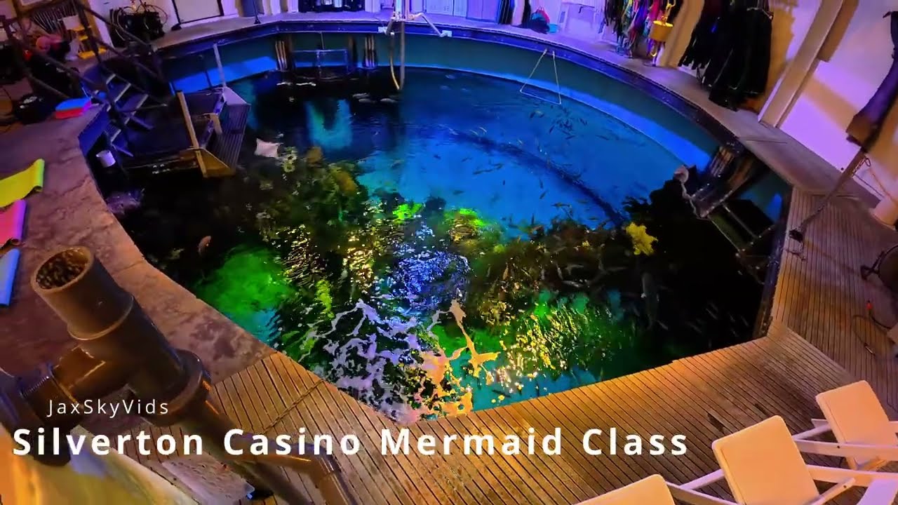 Las Vegas Silverton Casino Mermaid Class & Show (Full Experience + Behind the Scenes Tour)