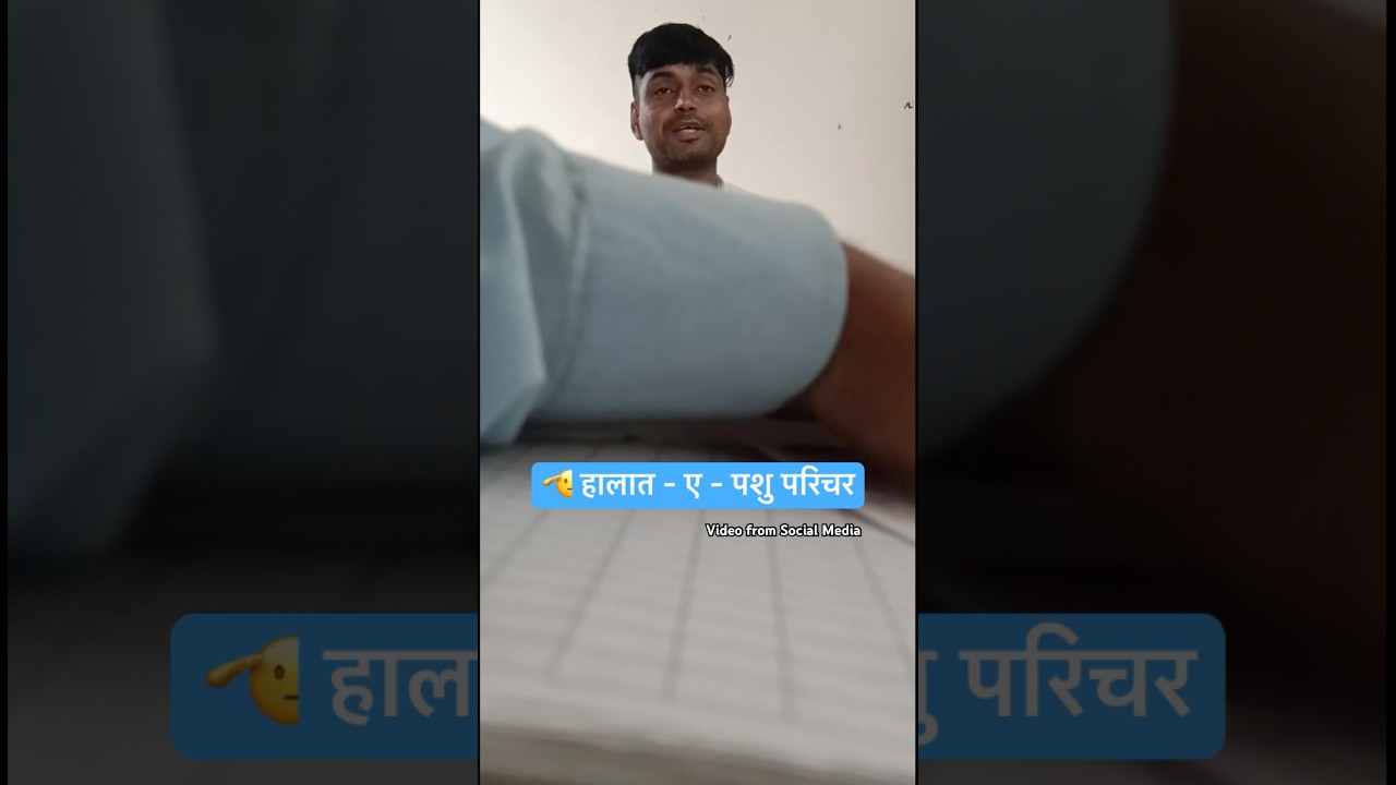 हालात-ए-पशु परिचर 🫡🙏🏻 #animalattendant #pashuparichar #shortsfeed #ytshorts #animalhusbandry