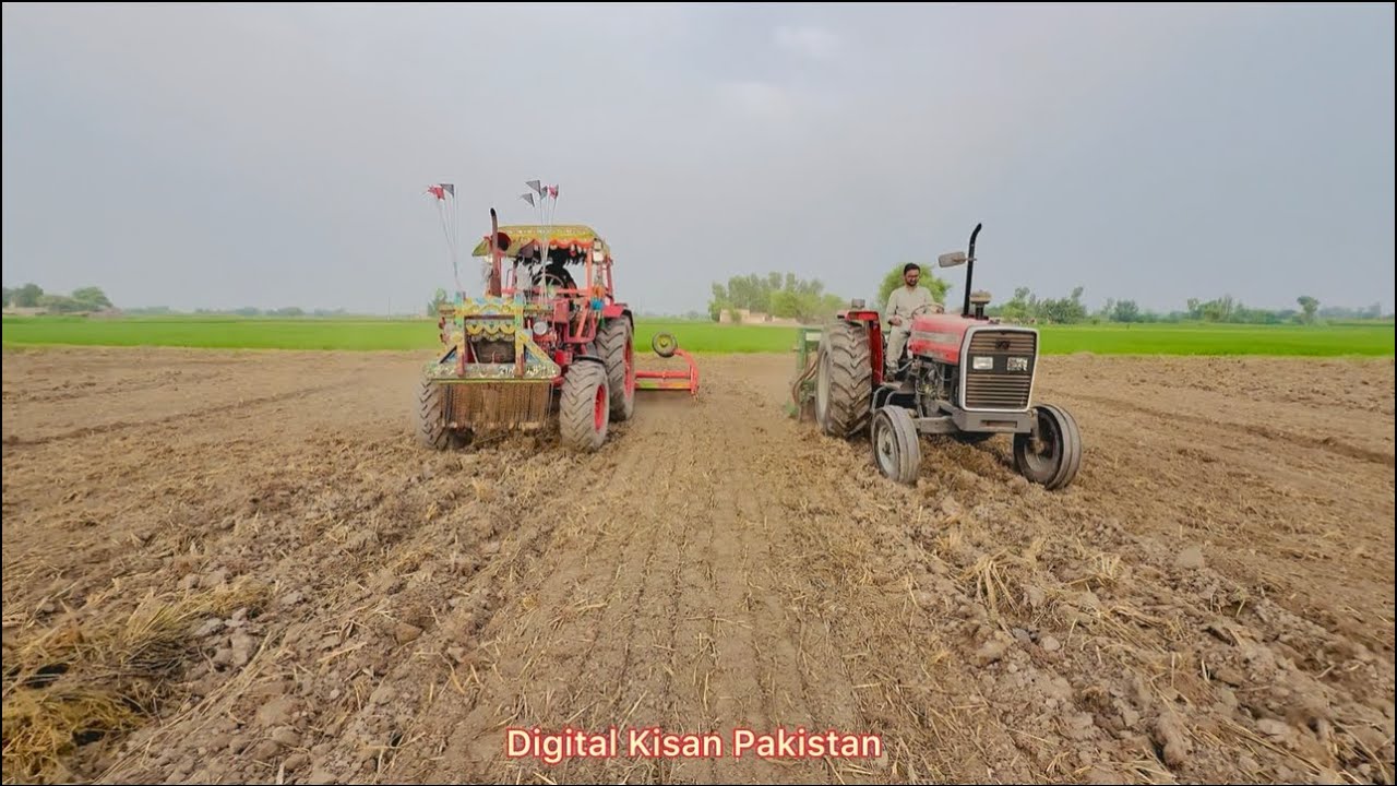 Belarus Tractor with Rootawaiter Mf 385 Tractor with Super Seeder performance 