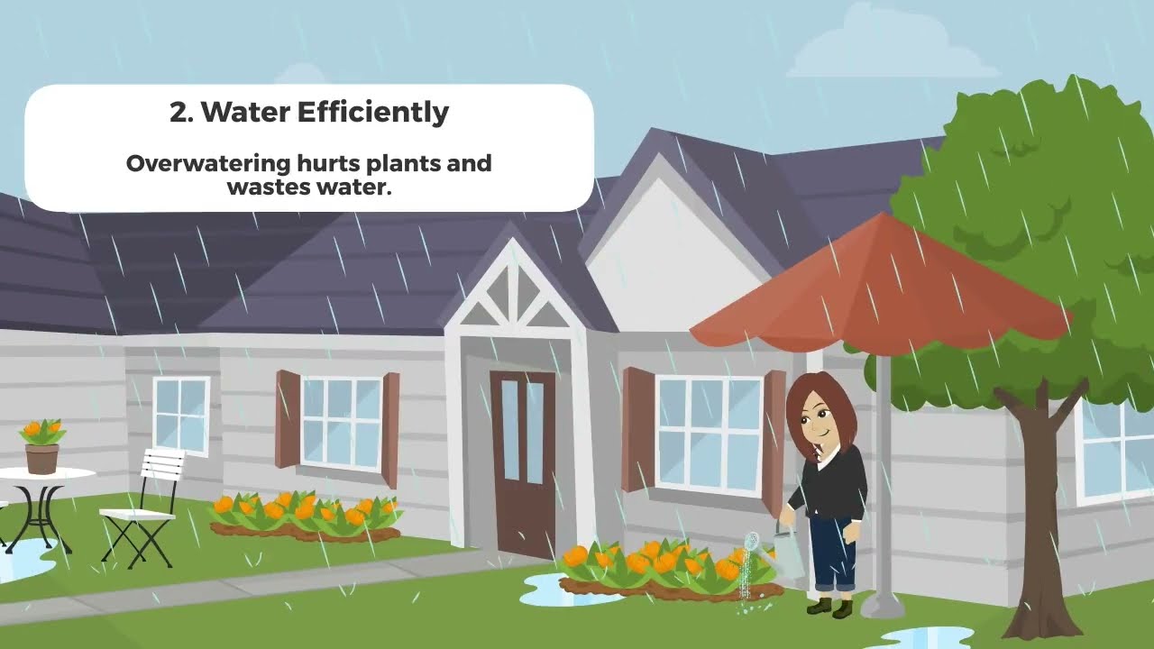 9 Principles of Florida Friendly Landscaping™