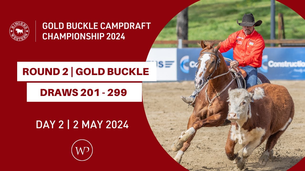 ROUND 2 | Ringers Western Gold Buckle Campdraft Championship 2024 | Draws 201  - 299