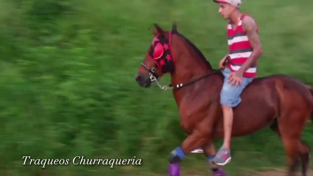 Traqueos Churraqueria 🐴🌐☝️🥵
