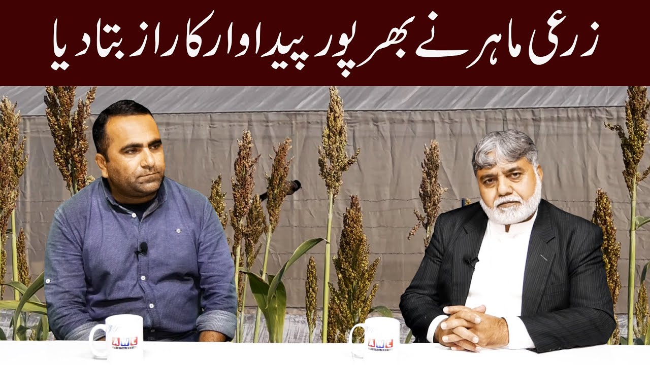 Maximum yield of Crops | Roles of Department of Agriculture Extension in Punjab | Agriculture