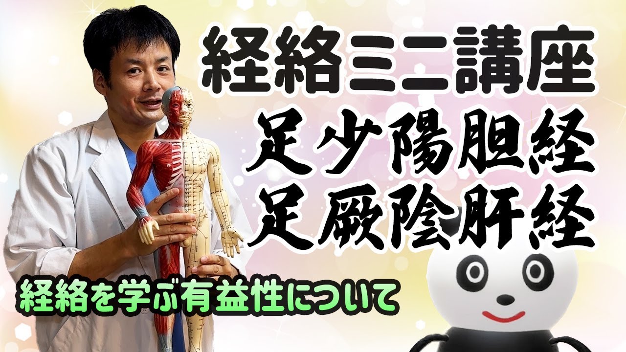 経絡って大事？第2弾。今回は足少陽胆経 フーフー君の養生訓第177話