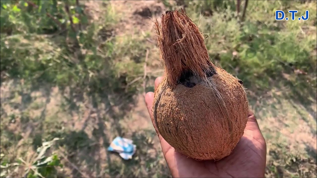 Ground Water Testing With Coconut | नारियल से चेक किया होता तो नुकसान नहीं होता | Shocking Truth