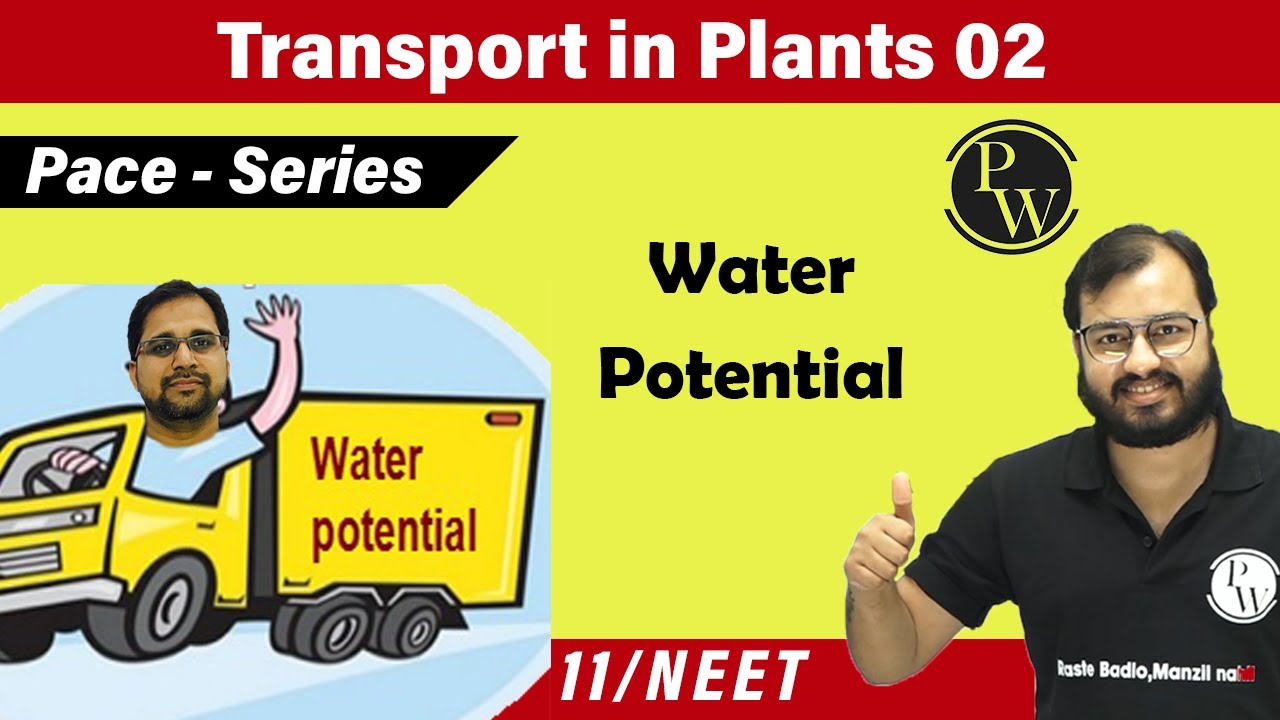 Transport in plants-02  | Water potential | Class 11 | NEET| Pace Series