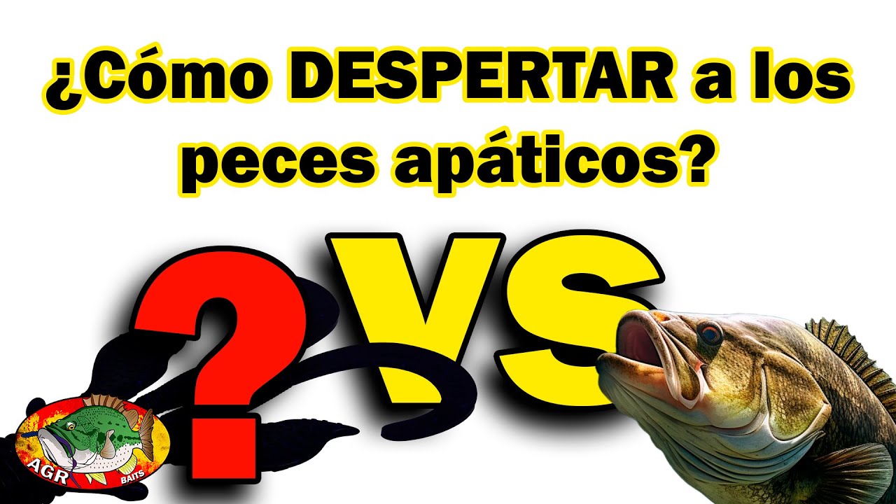 🐟🚫¿Peces que NO comen? SOLUCIONALO AÑADIENDO...