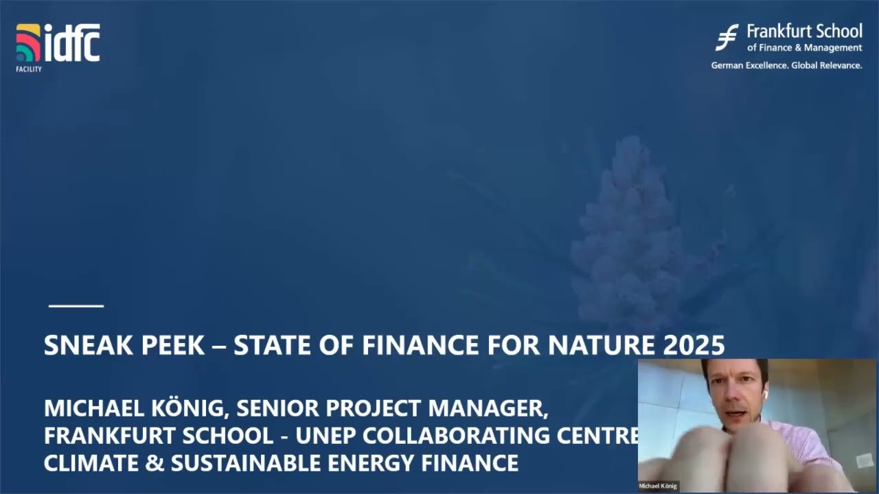 IDFC 2025 Biodiversity FinanceTraining - The Nature Biodiversity Finance Landscape