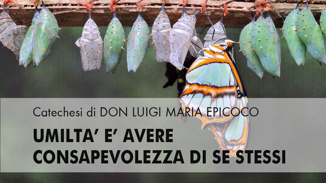 Don Luigi Maria Epicoco - Umiltà è avere consapevolezza di sè stessi