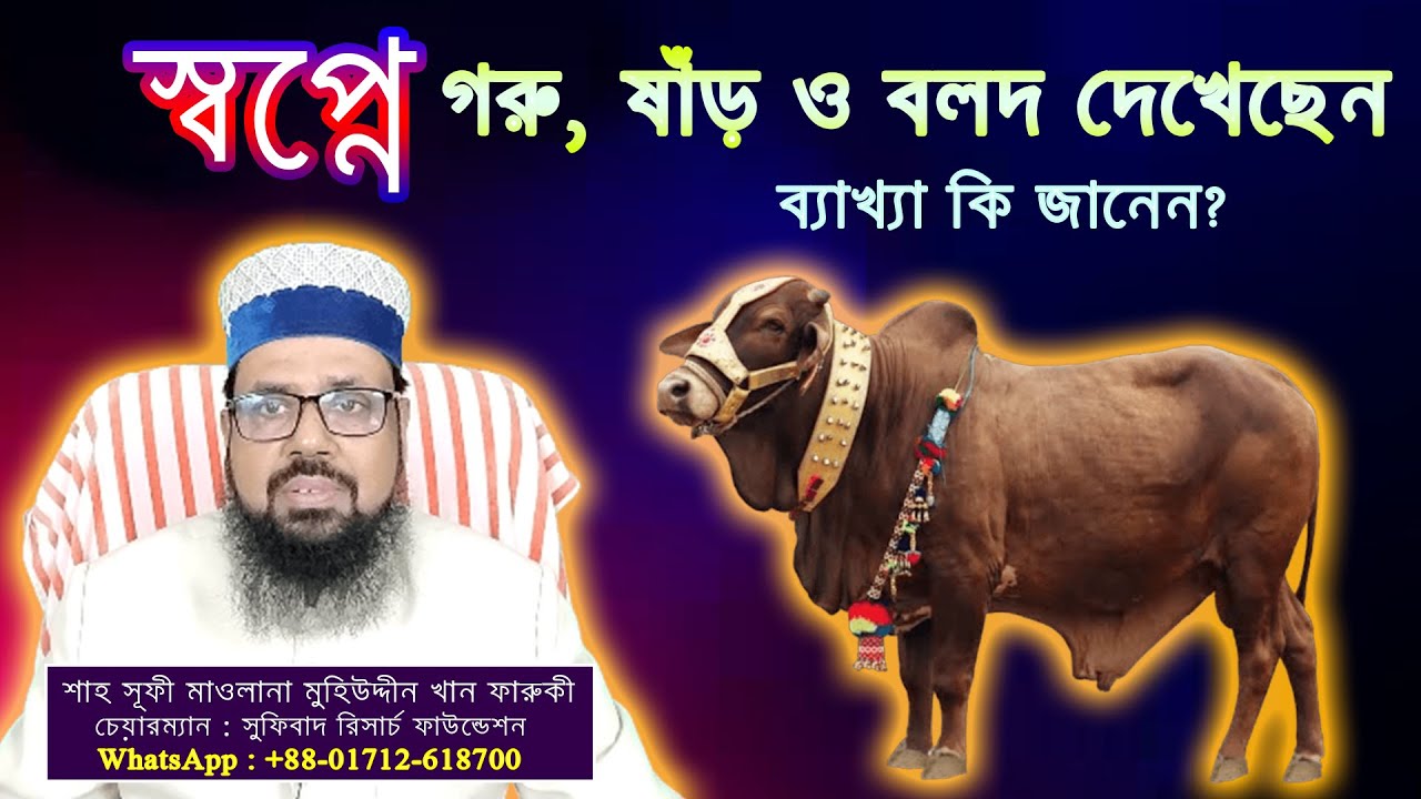 স্বপ্নে গরু, ষাঁড়  ও বলদ দেখেছেন, ব্যাখ্যা কি জানেন? || I saw cows, bulls and oxen in my dream.