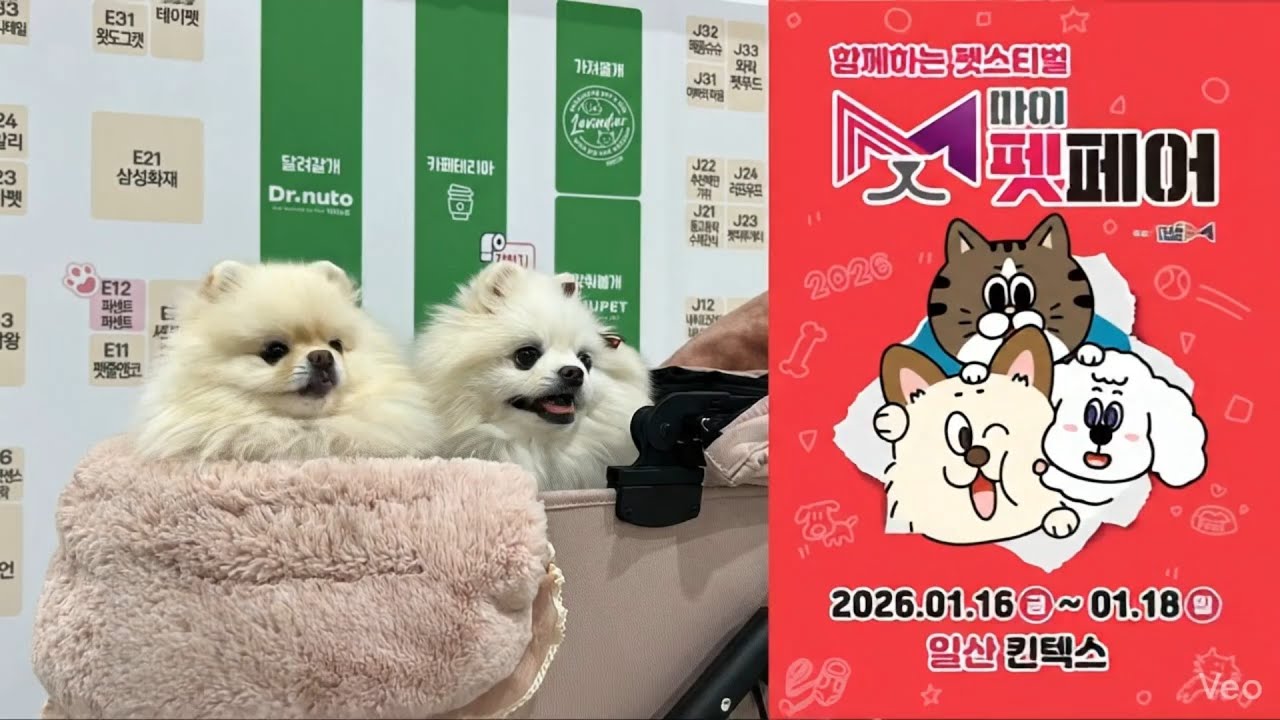 2026년 마이펫페어 일산