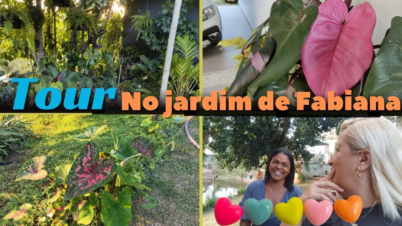 as lindas plantas da minha amiga FABIANA ❤️  tem muita raridades nesse jardim - super tour