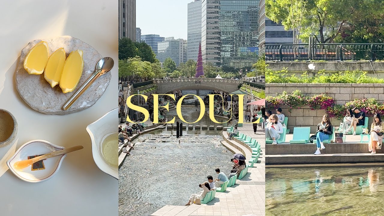 𝙎𝙚𝙤𝙪𝙡𝙤𝙜 여름 낭만 가득한 청계천 도서관, 인사동 투어