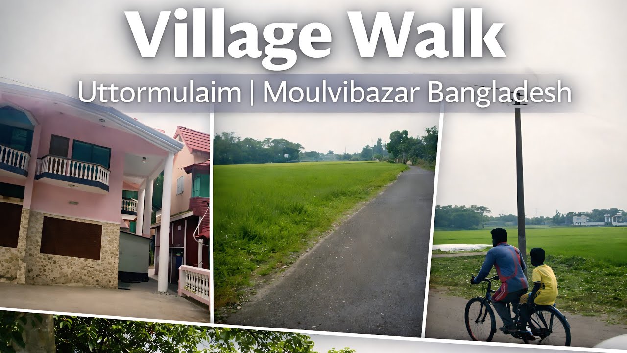 Village Walk | Uttormulaim | Moulvibazar Bangladesh