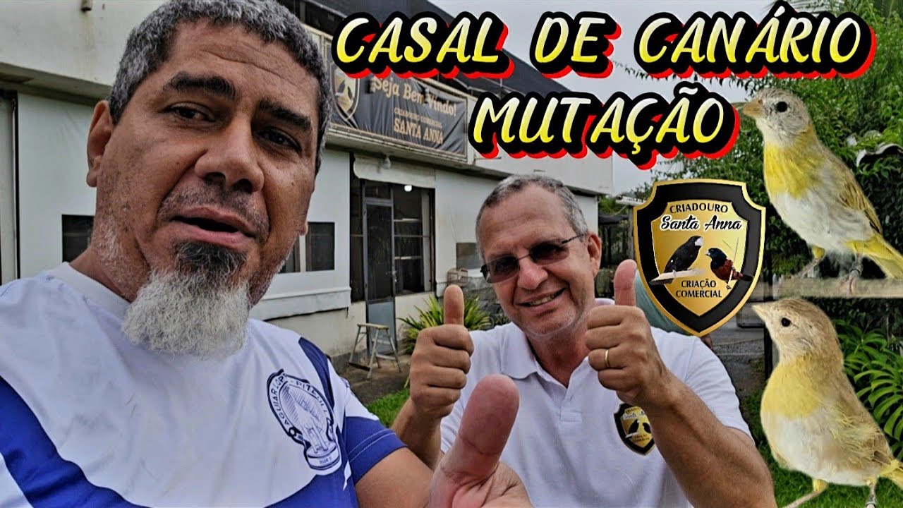 GANHE UMA AVE FÁCIL 