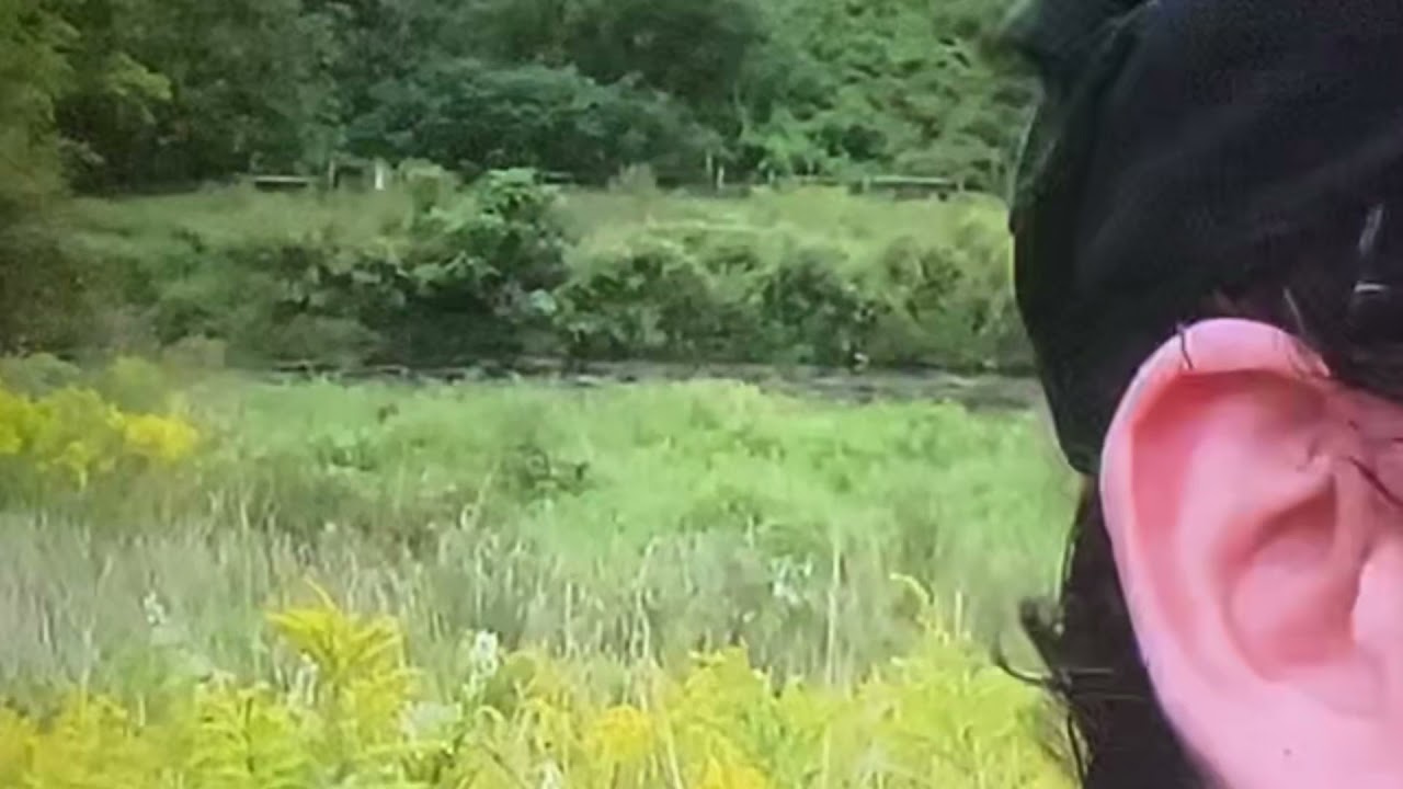 Regular &ldquo;human&rdquo; walk vs Texas Walker Sasquatch walking video #sasquatch #bigfoot
