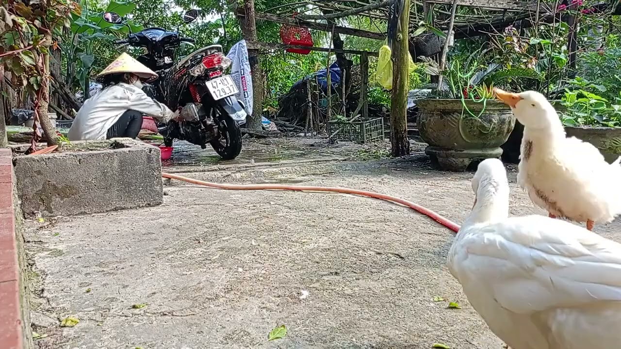 Simple Joys Finding Happiness in Daily Life
