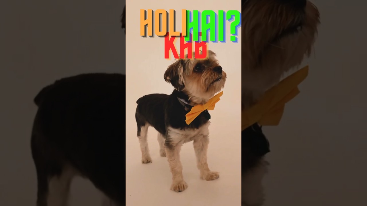 Happy Holi | Don't play Holi with pets  #happyholi2025 #holicelebration #holi #holispecial