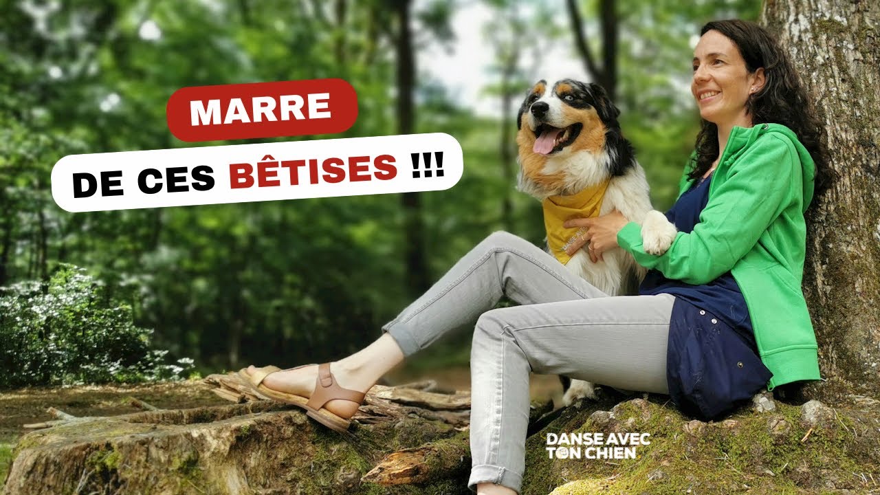 Comment faire avec un chien tres peureux et craintif ?