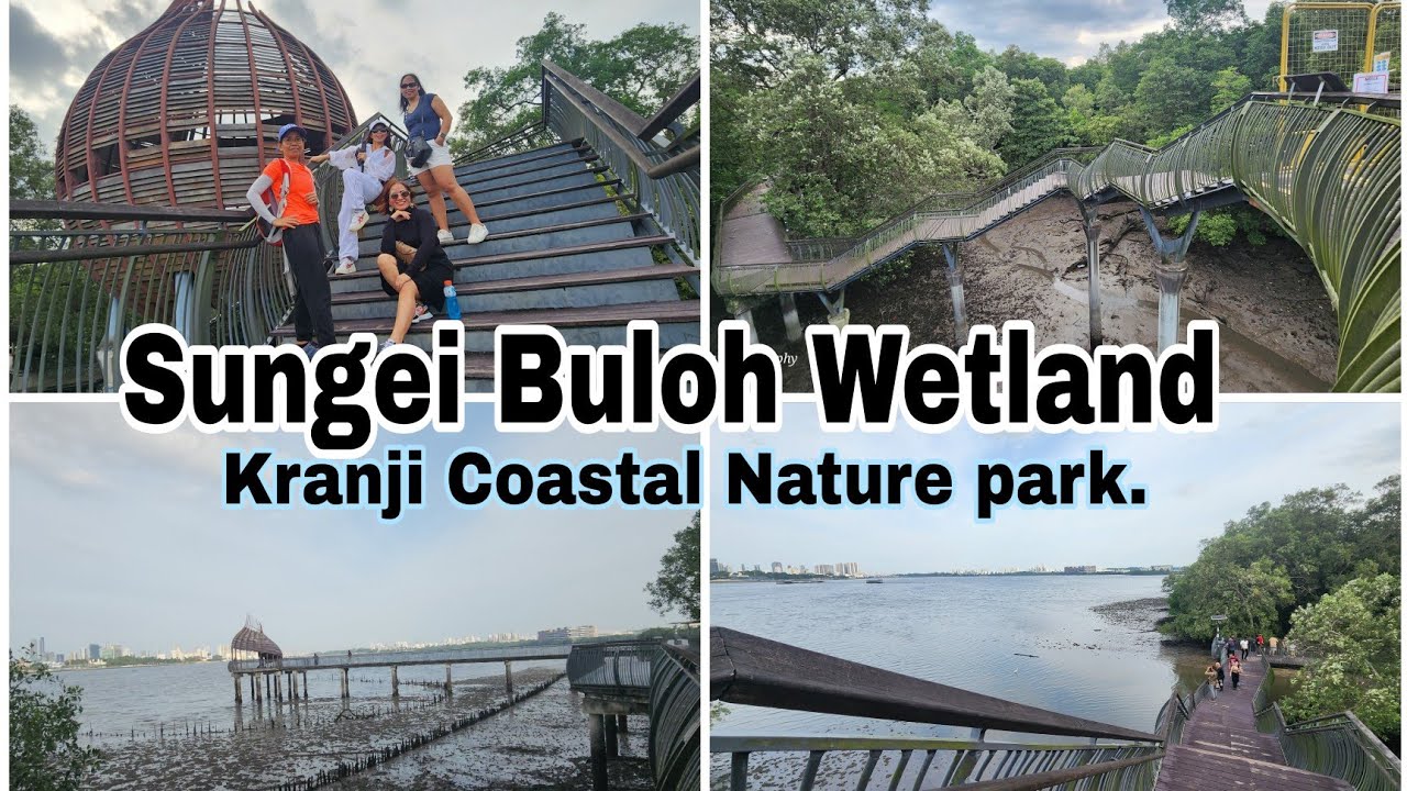 Sungei Buloh Wetland. Part 2/2