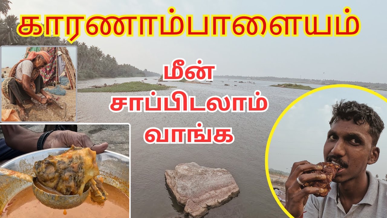 💥காரணம்பாளையம் Dam💥காவிரி கரையில் மீன் குழம்பு மீன் வறுவல்😋வாங்க சாப்பிடலாம்😋