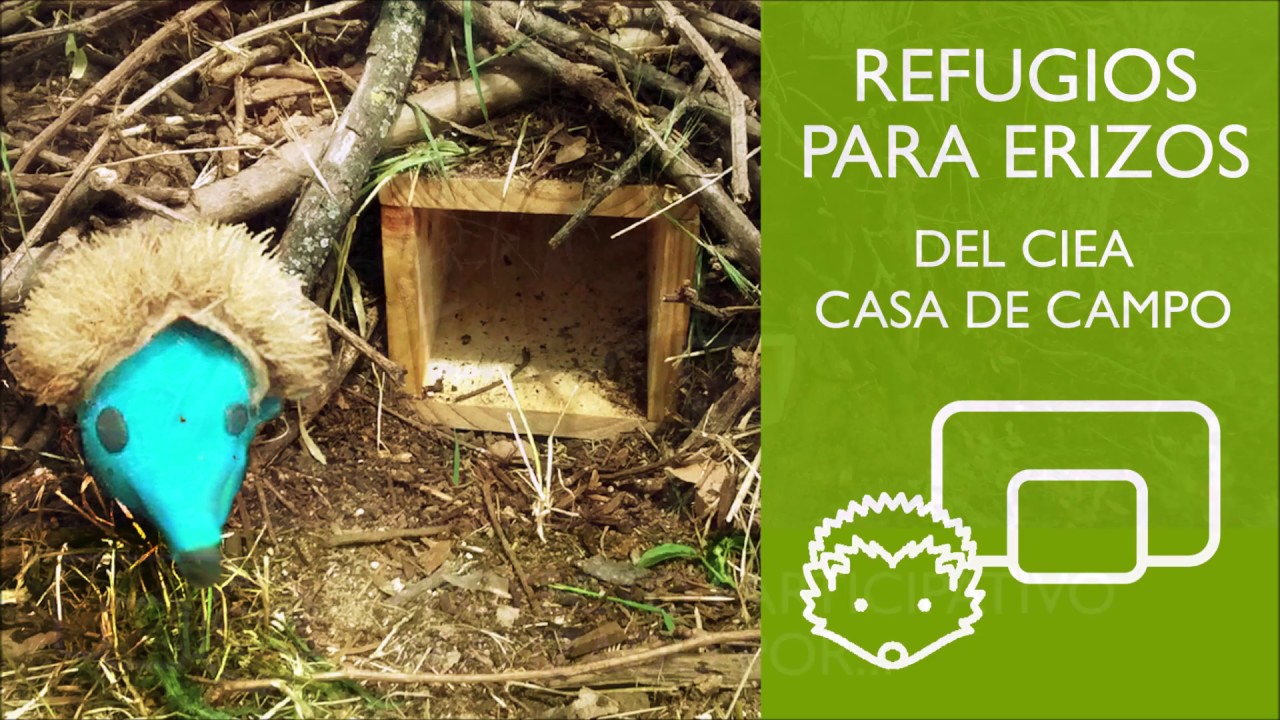 Refugios para erizos