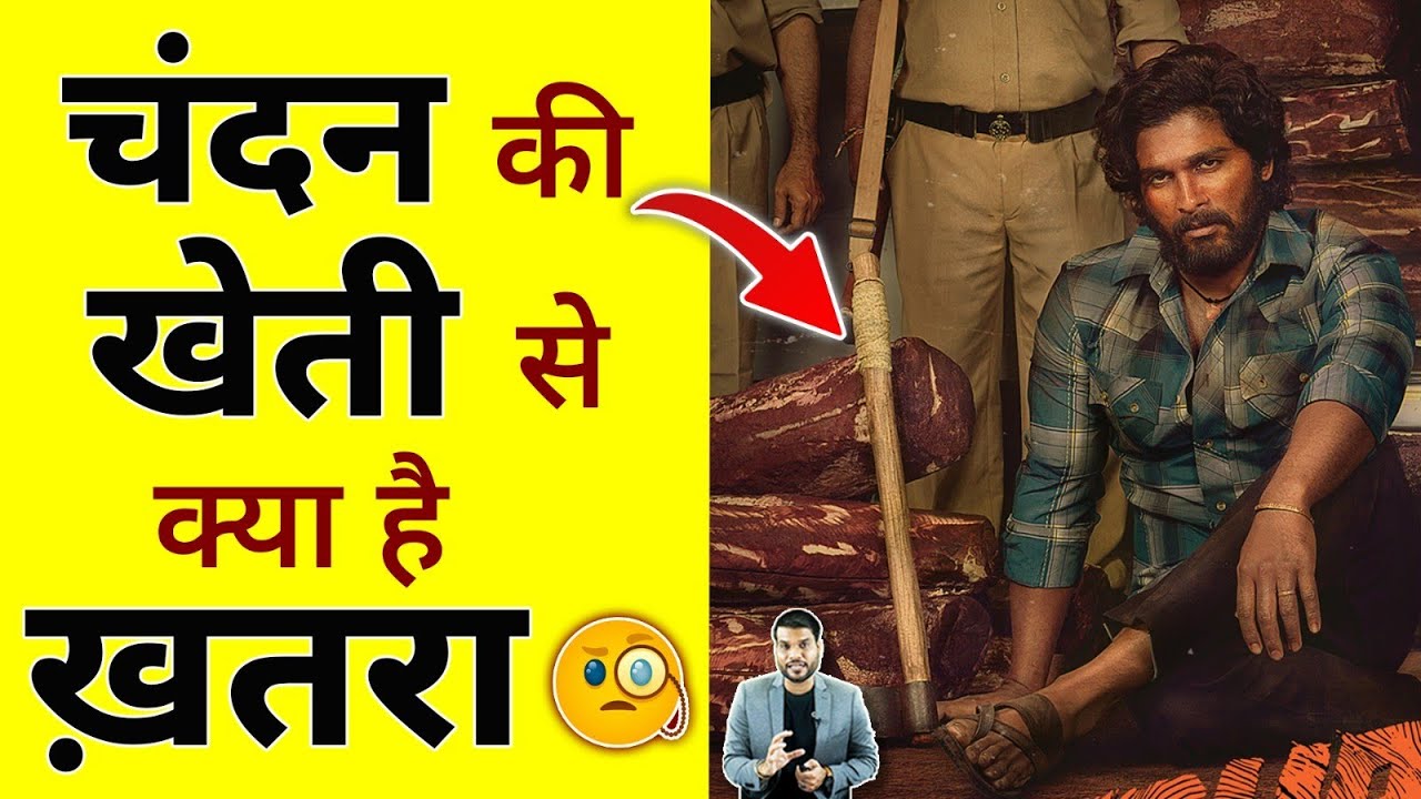 चंदन की खेती से क्या है ख़तरा ?🧐 #shorts #chandan #ytshorts by #arvindarora